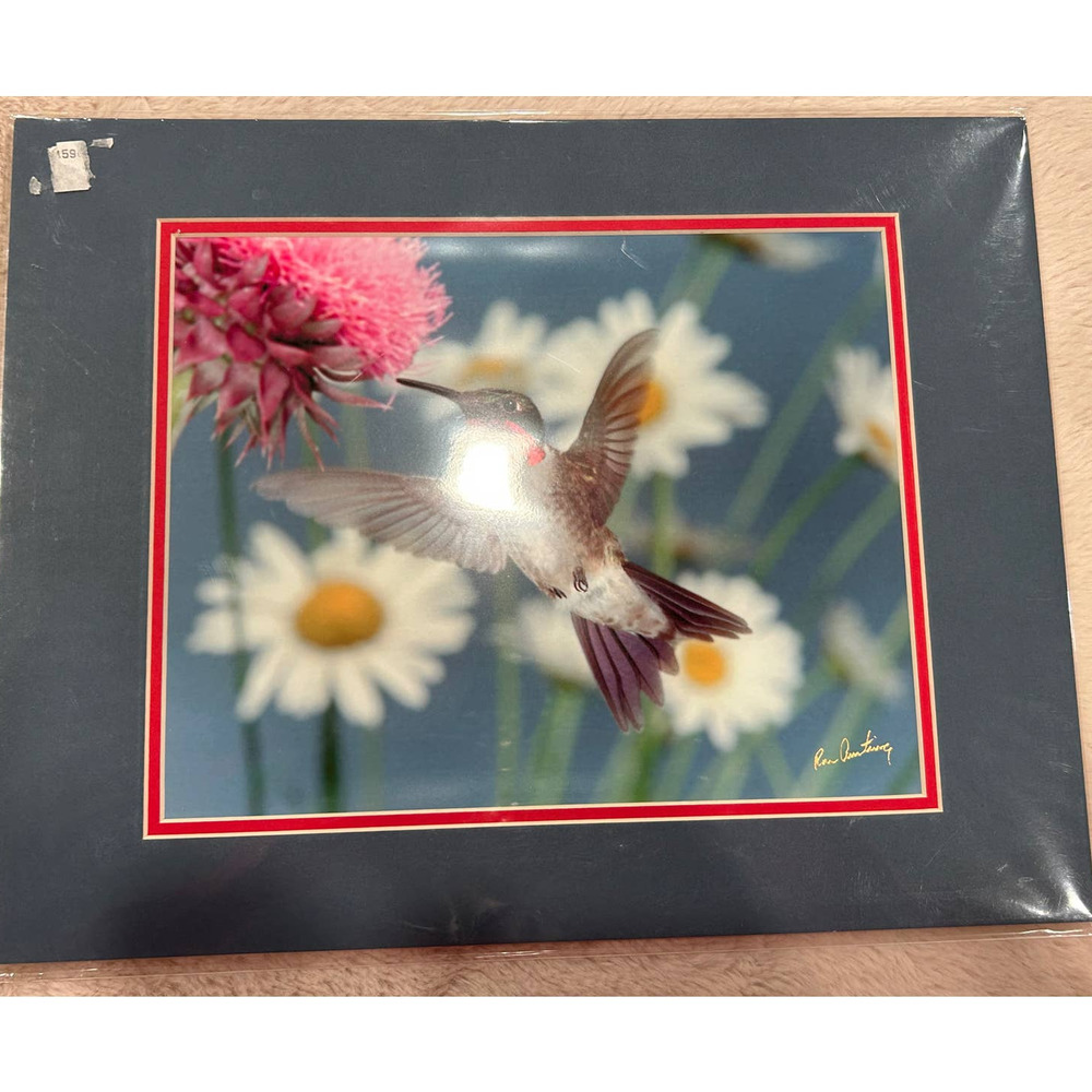 Unframed Wild Bird Photography in a Double Matte